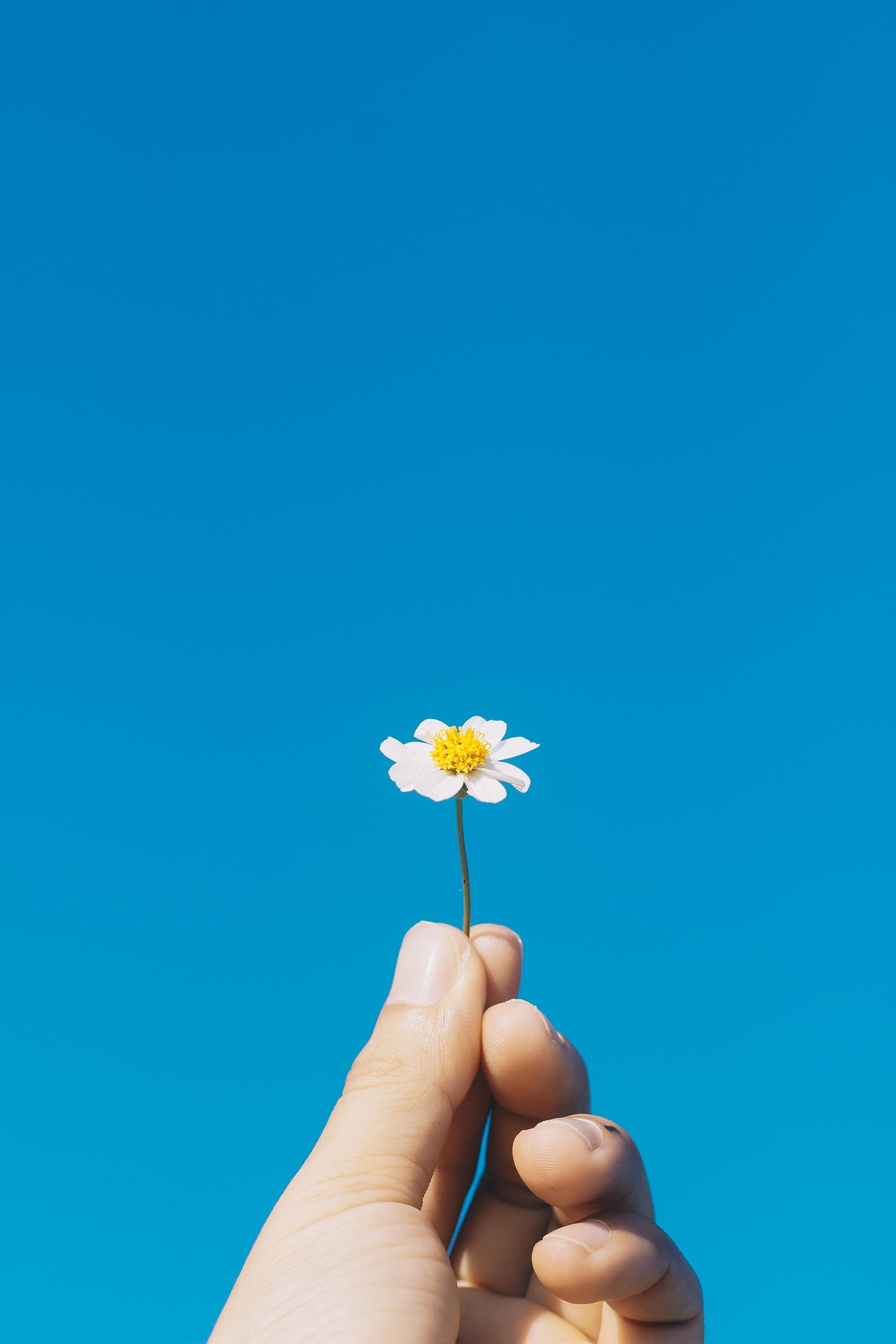Find Yourself Again After Motherhood