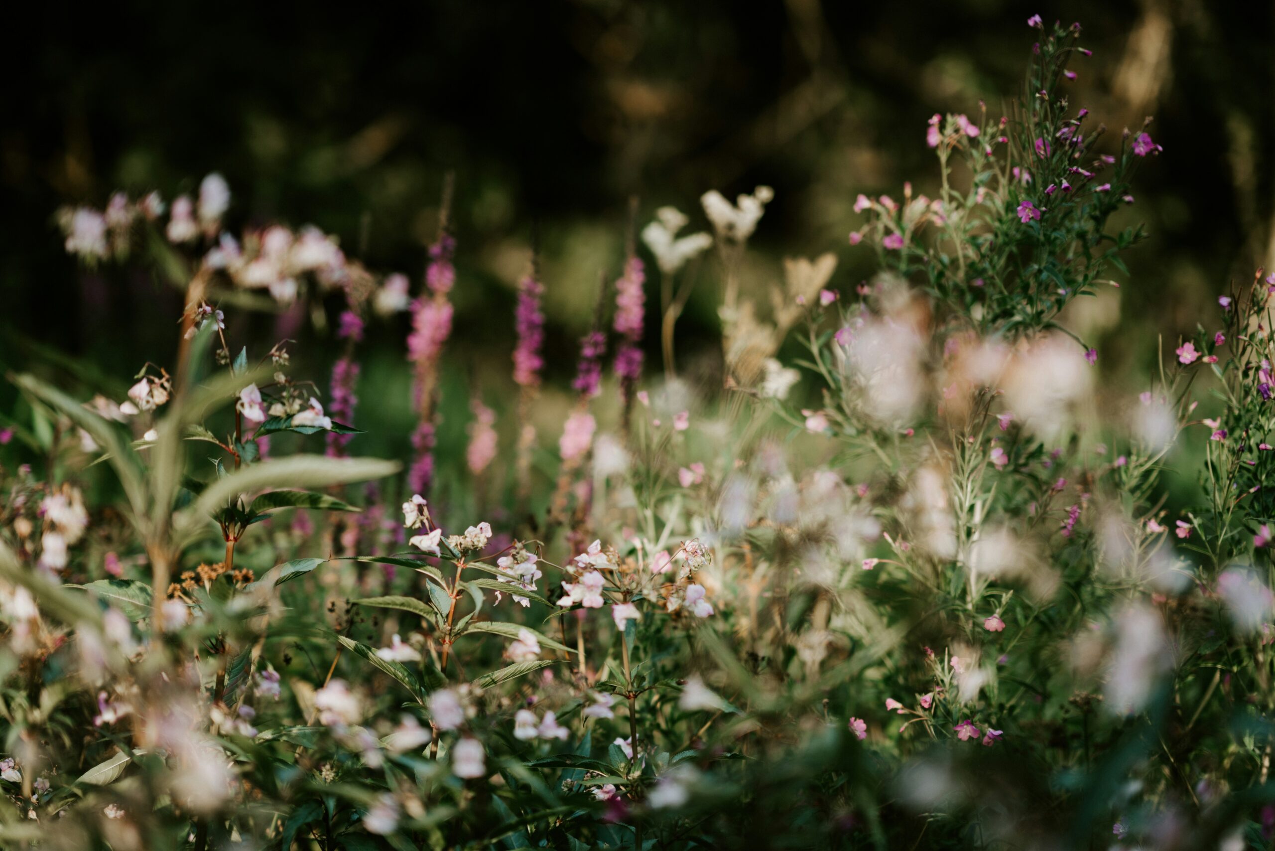 10 ADHD Friendly Ways to Reduce daily Overwhelm