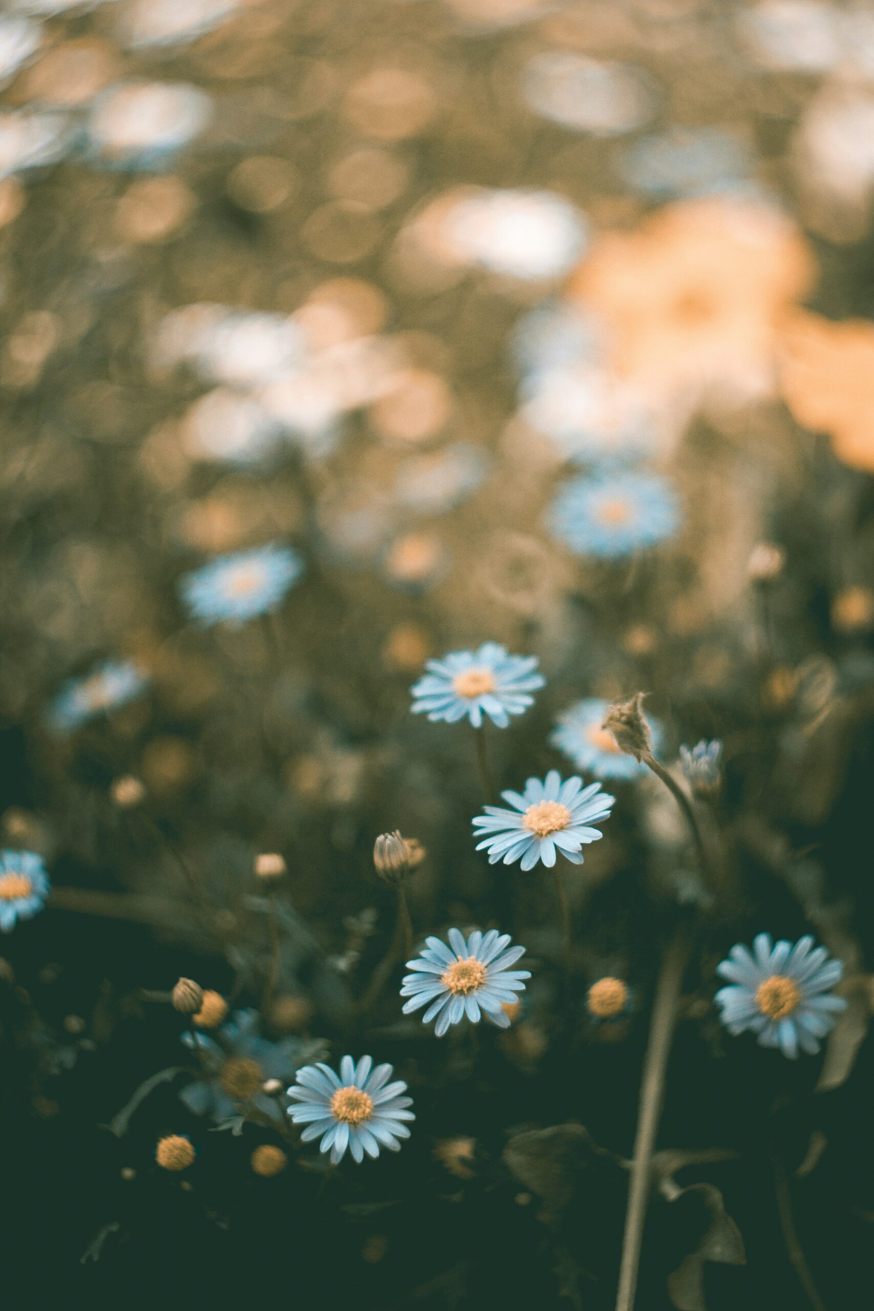 Why You Feel Like You’re Failing at Life